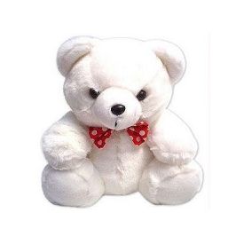 Teddy Bear in 12 Inch