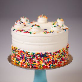 Vanilla Sprinkled  Cake