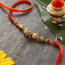 Single  Rakhi