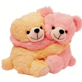 Couple teddy bear for Friend