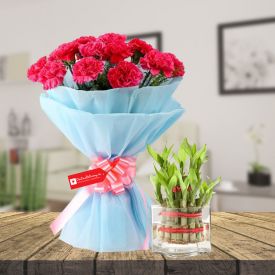 pink carnation  & 2 layer Bamboos With Vase