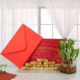 Milk Cake N  Greeting Card With Bamboo Plant