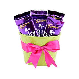 6 Dairy Milk of 16.2 gram