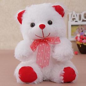 Cute Furry White Teddy Bear Soft Toy