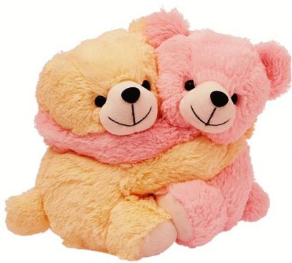 Couple teddy bear for Friend