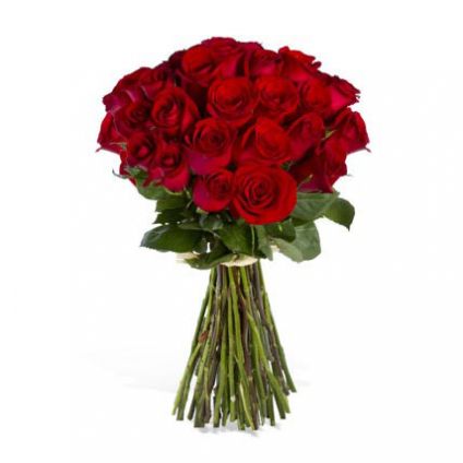Bunch of 24 luxury red roses,