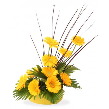 Basket of yellow gerbera