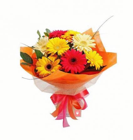 Bunch of  mix gerberas