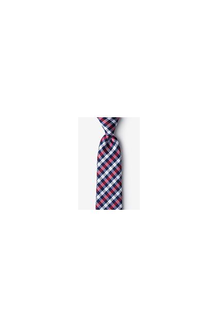 Colorful Checkered  Patterned Tie